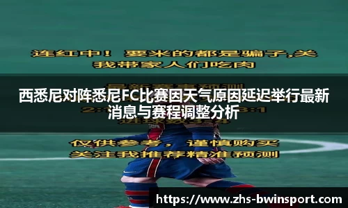 西悉尼对阵悉尼FC比赛因天气原因延迟举行最新消息与赛程调整分析